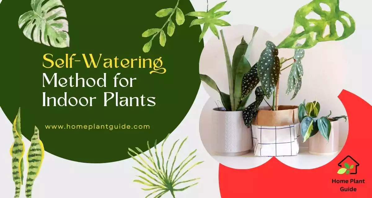 Self-Watering Indoor Plants