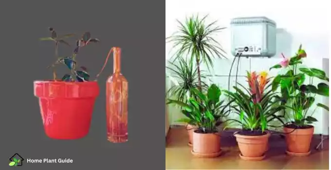 Automatic self-watering indoor plants
